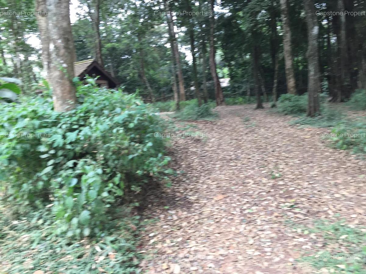 Residential Land in Karen - 6