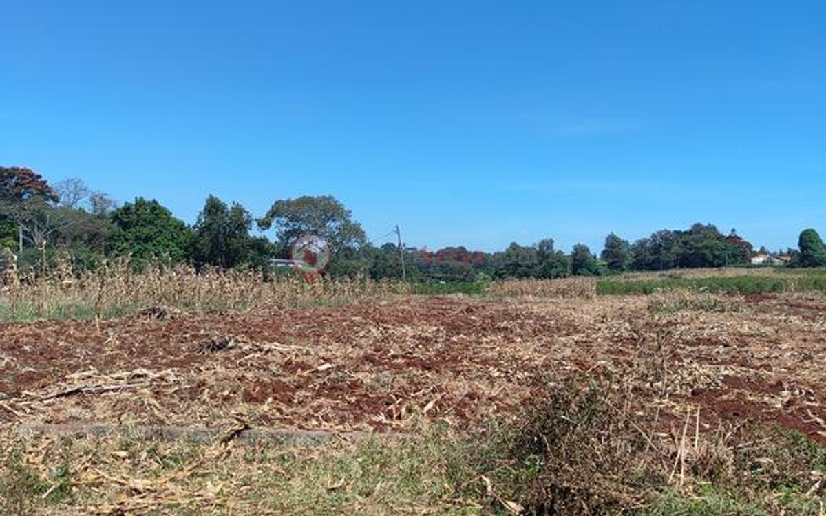 Land at Kirwa - 14