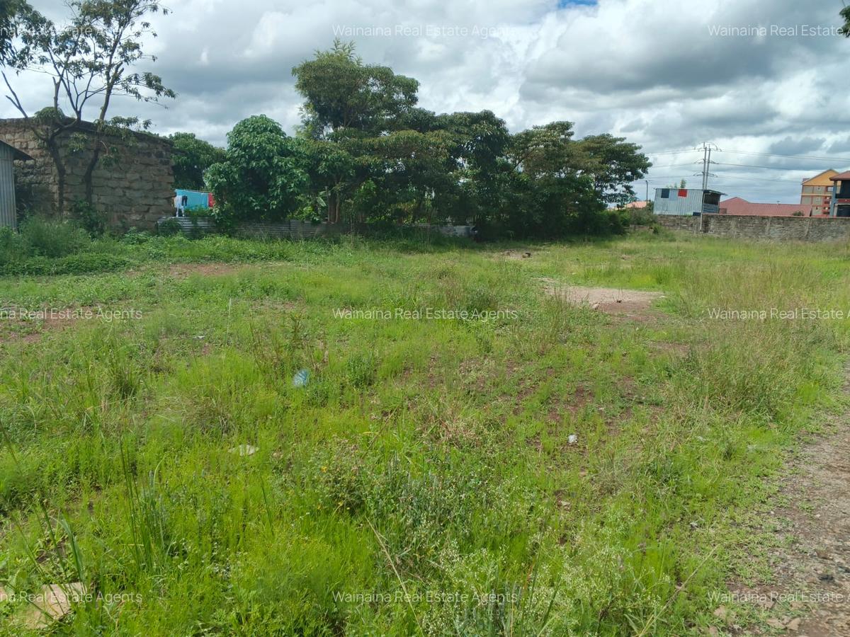 400,000 ft² Commercial Land at Ruiru Murera - 6