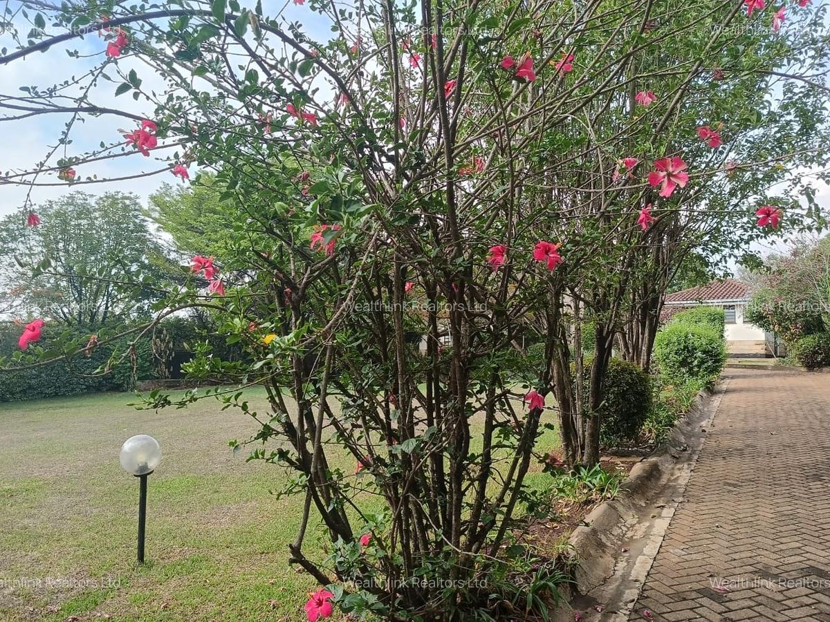 4 Bed Townhouse with En Suite at Redhill - 9