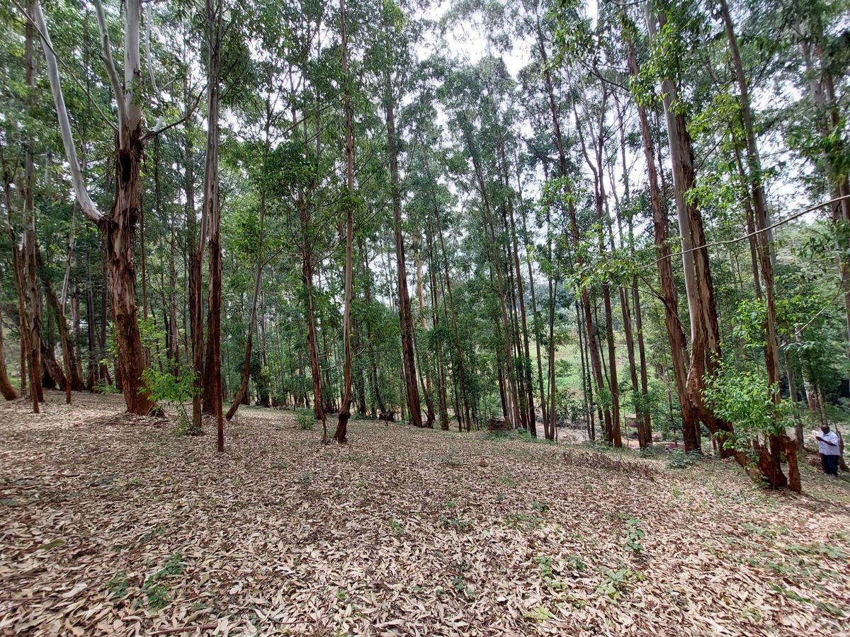 Residential Land at Rosslyn Redhill Road - 16