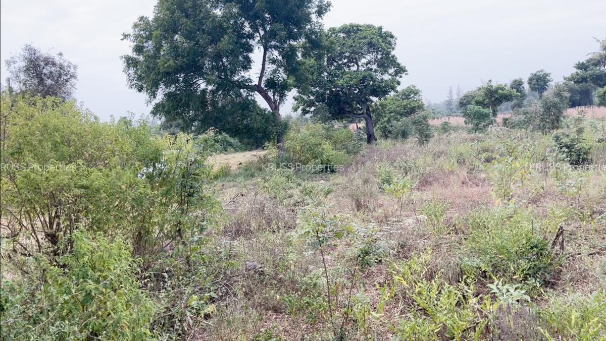 0.5 ac Land at Ls171 - 4