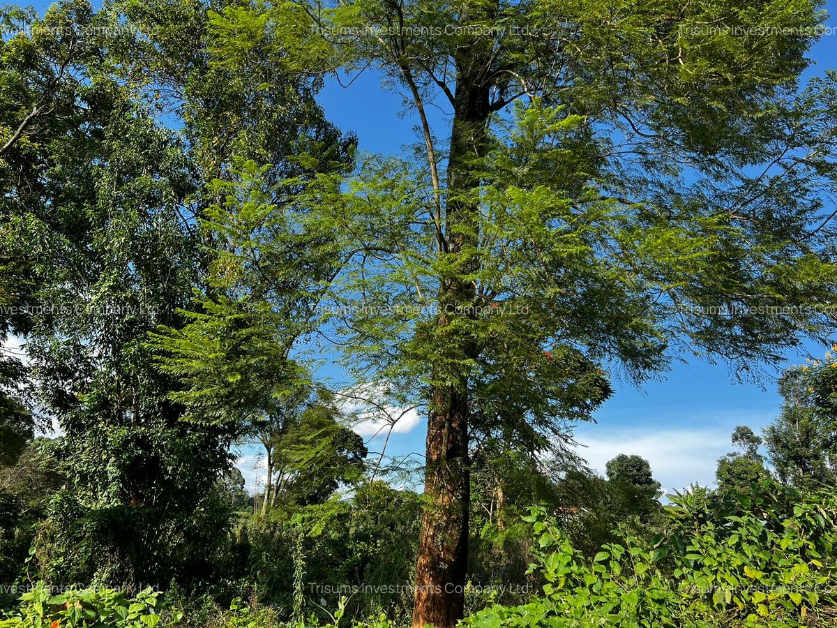 10 ac Land in Banana - 2