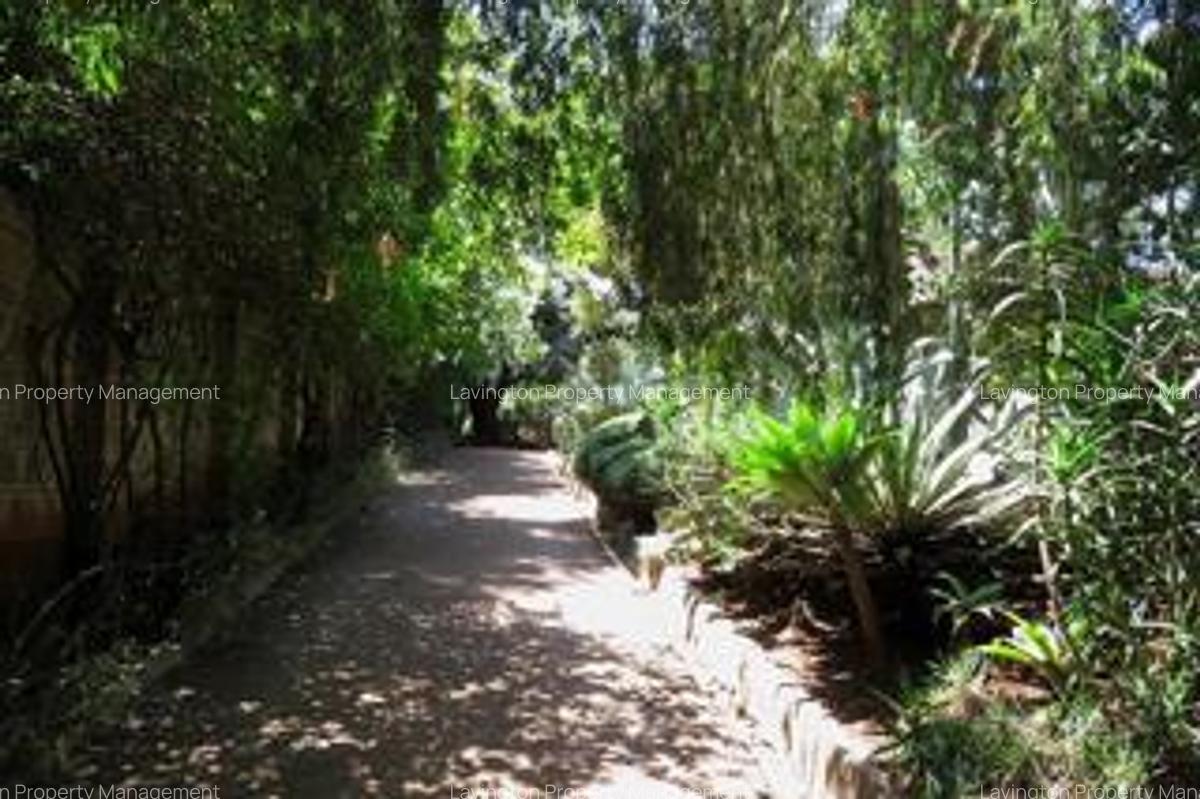 0.78 ac Land at Chalbi Drive - 4