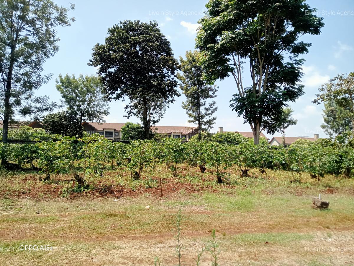 Residential Land in Runda - 11