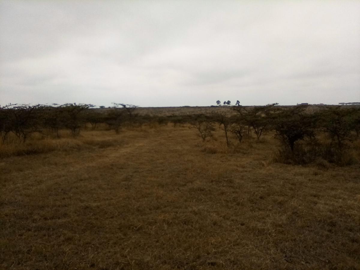 Land in Ongata Rongai - 6