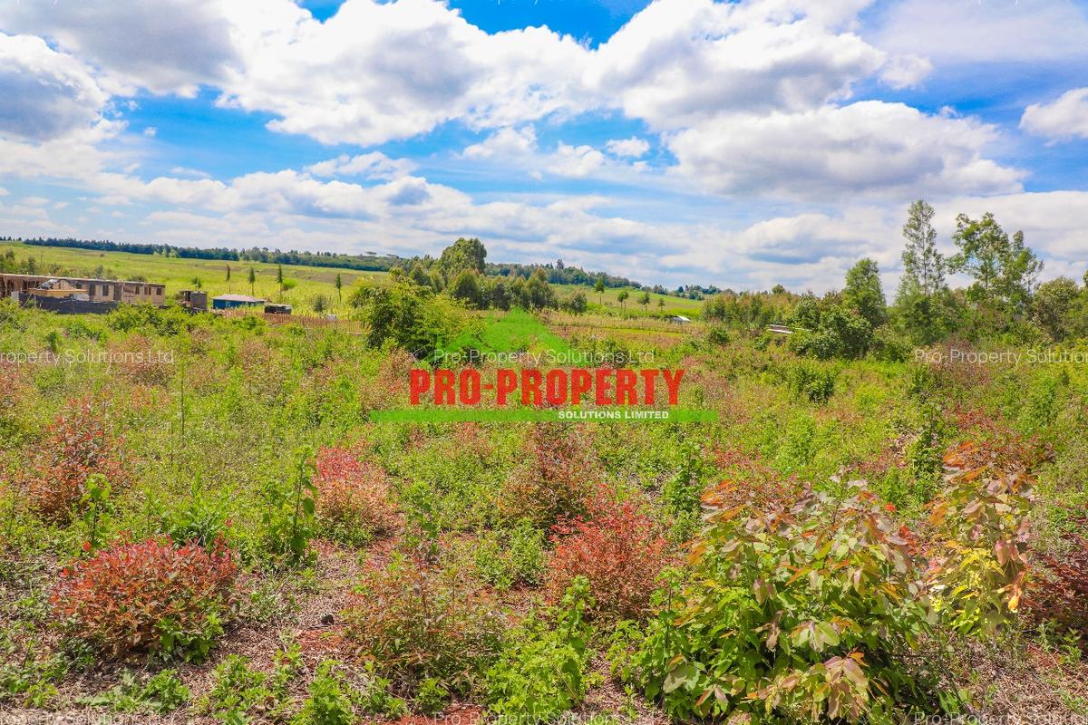 0.05 ha Residential Land at Ondiri - 6