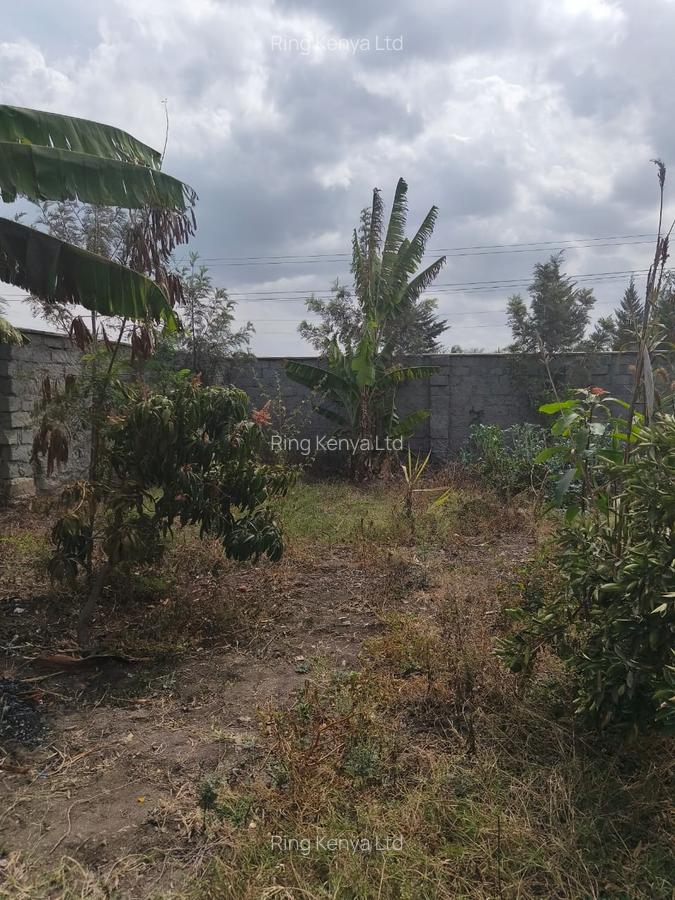 4 Bed House with Garden in Kamulu - 4