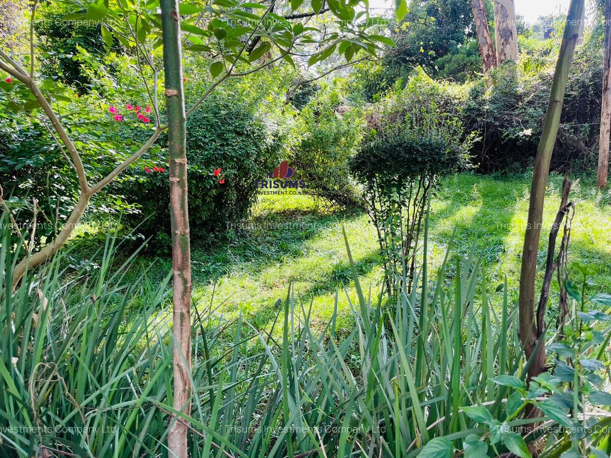 2.2 ac Land in Lavington - 5