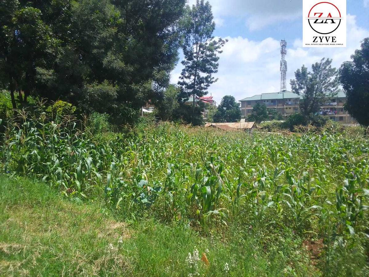 0.25 ac Land at Mwimuto - 10