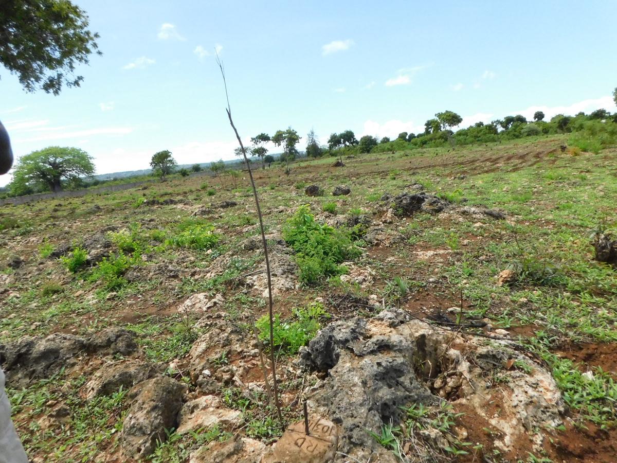 10,000 ft² Land at Vipingo - 7