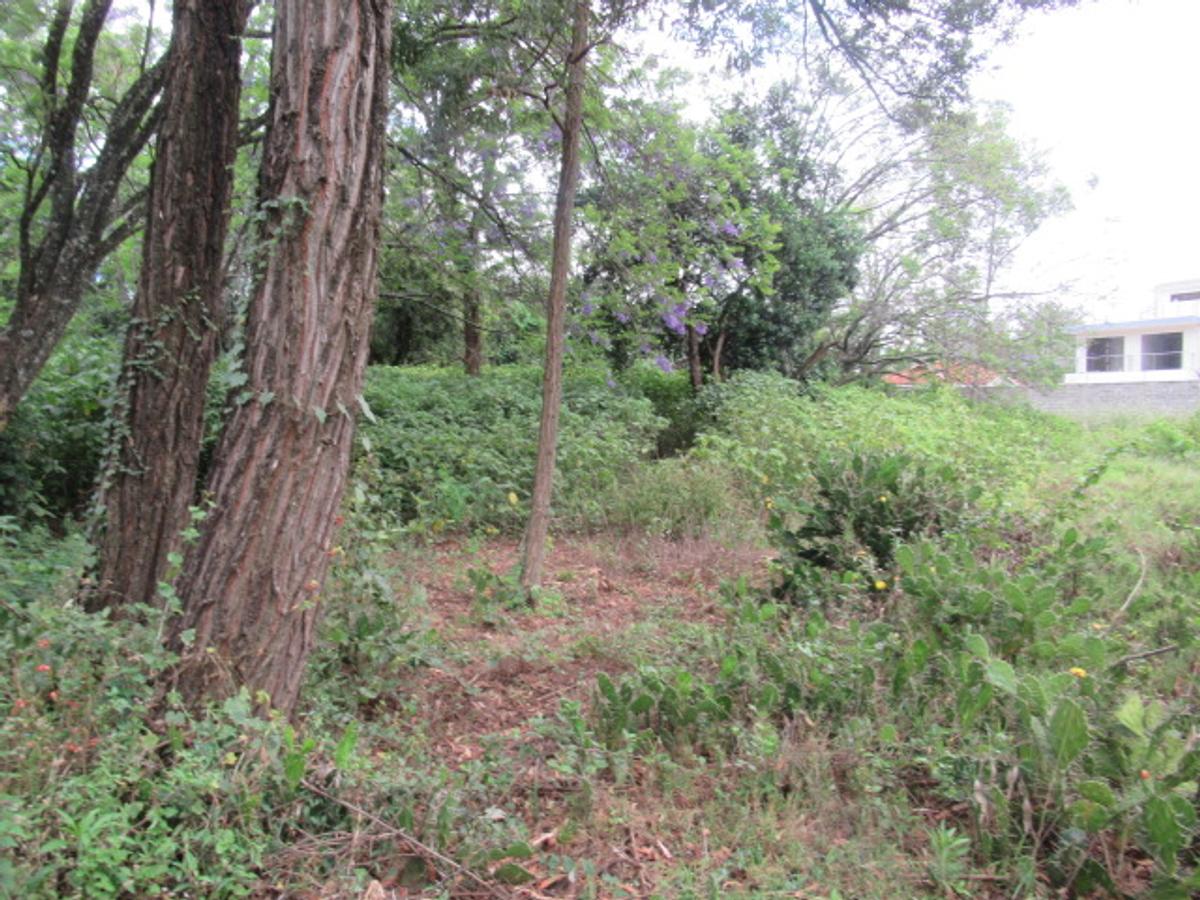 Land at Bogani Rd - 6