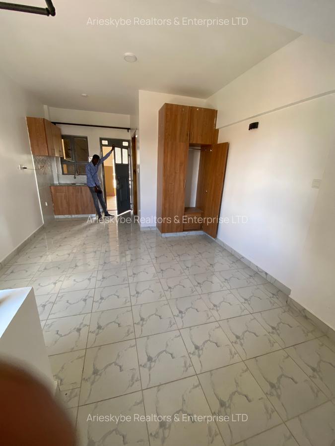Studio Apartment with En Suite in Membley - 6