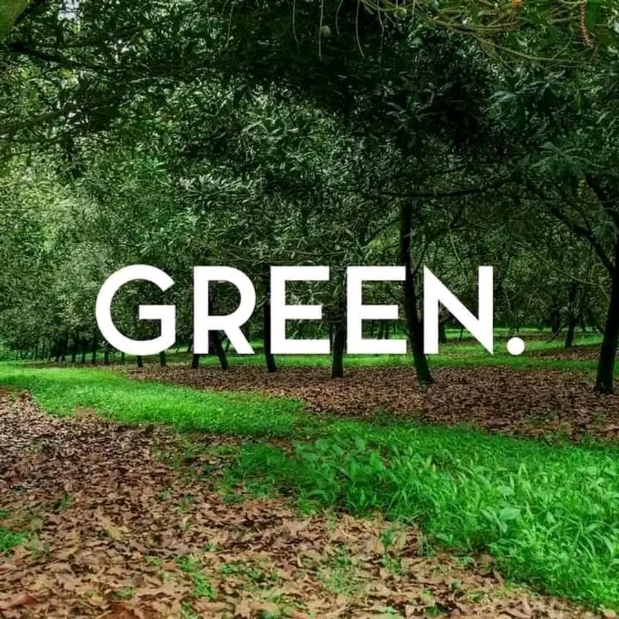 50 ft² Residential Land at Juja - 5