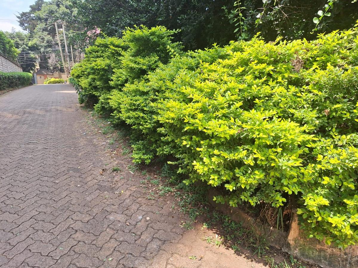 0.44 ac Land at Parklands - 4