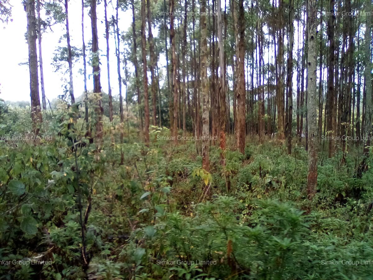 Land at Upper Matasia - 10