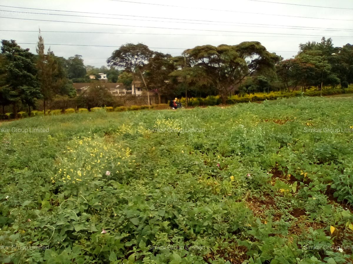 Commercial Property at Red Hill Rd - 7