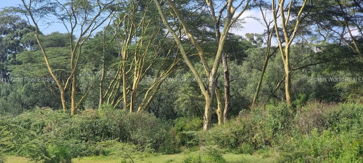 5.5 ac Land in Naivasha - 2