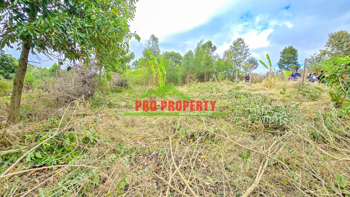 0.05 ha Residential Land at Migumoini - 6