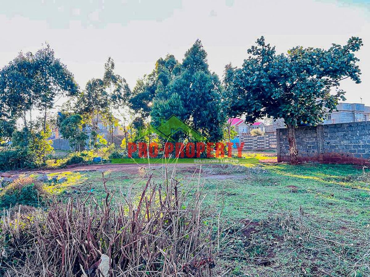 0.05 ha Residential Land in Kikuyu Town - 14