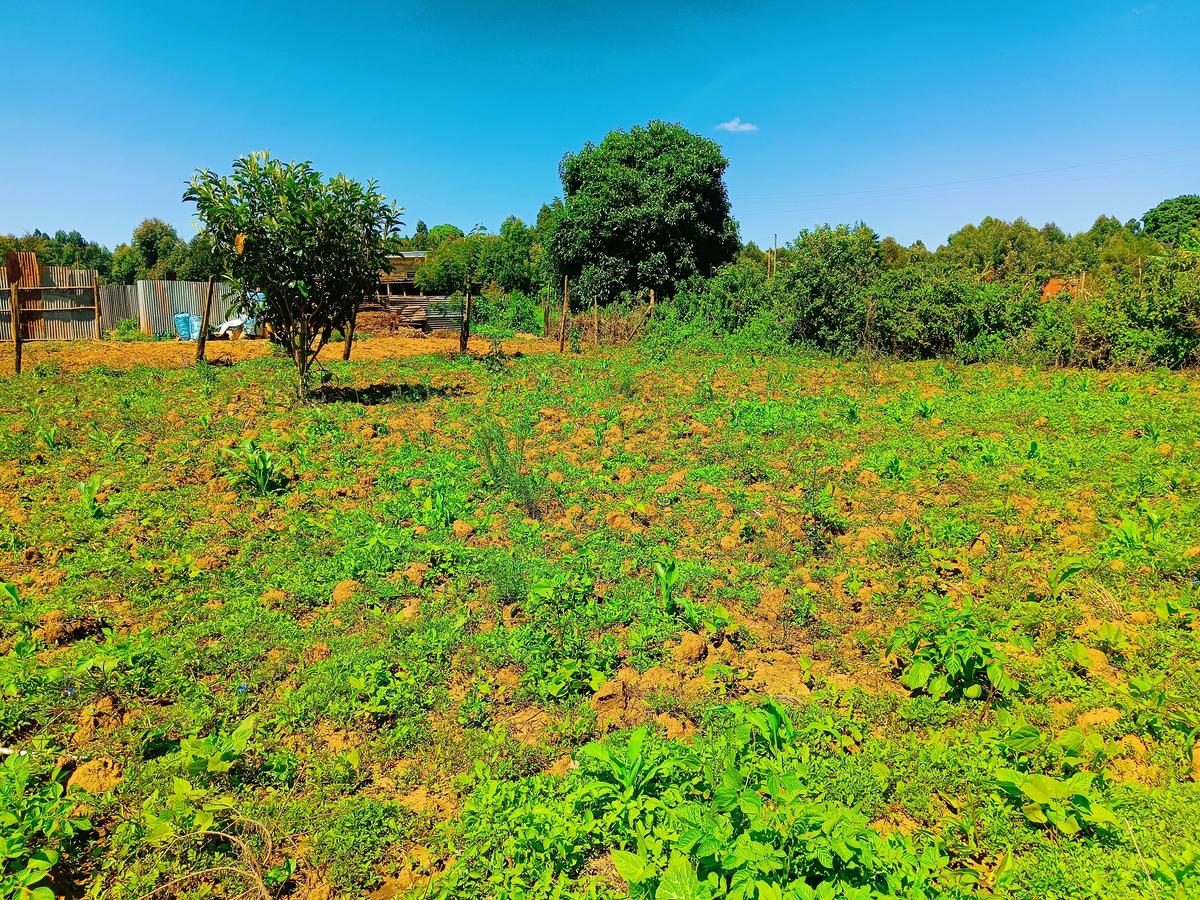 500 m² Residential Land at Kamangu - 3