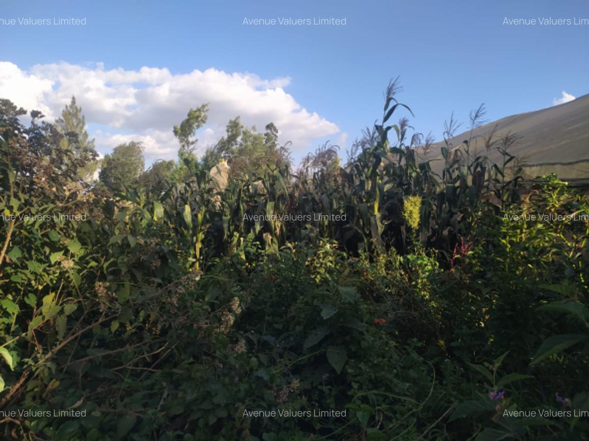 Land at Ruaka Road - 1