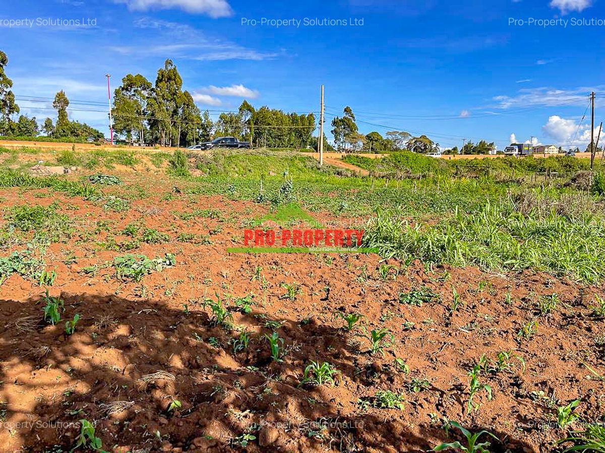 0.1 ha Commercial Land at Muguga - 11
