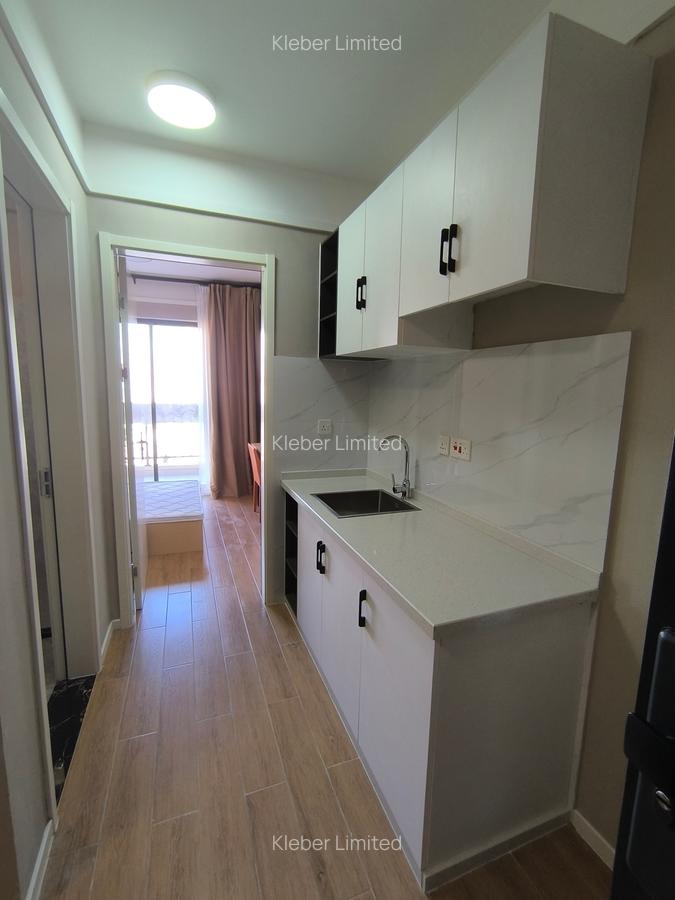 1 Bed Apartment with En Suite at Wanyee Road - 3