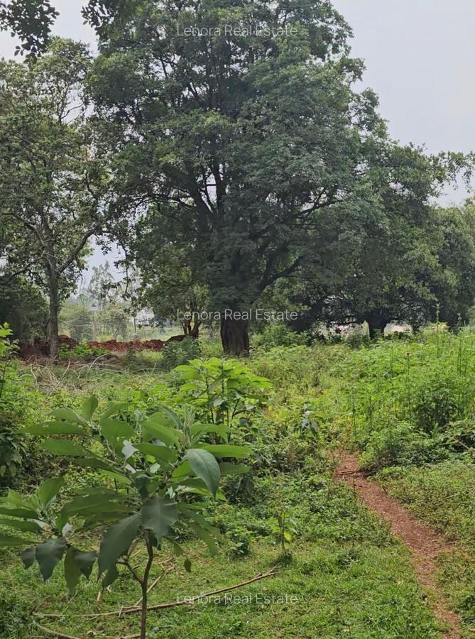Land in Karen - 1