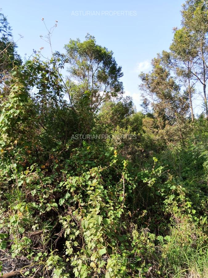 36 ac Land in Kikuyu Town - 4