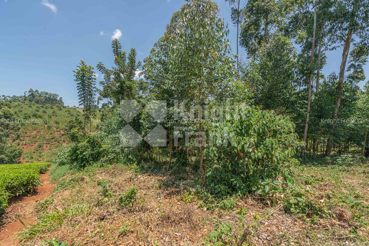 4.8 ac Land at Riara Ridge - 7