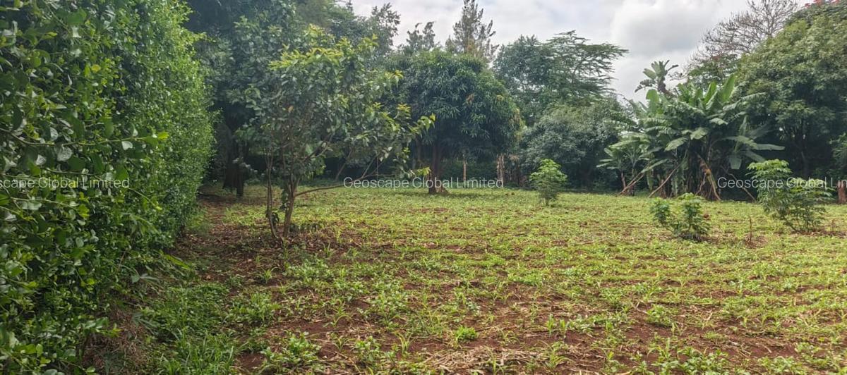 0.5 ac Land in Runda - 1