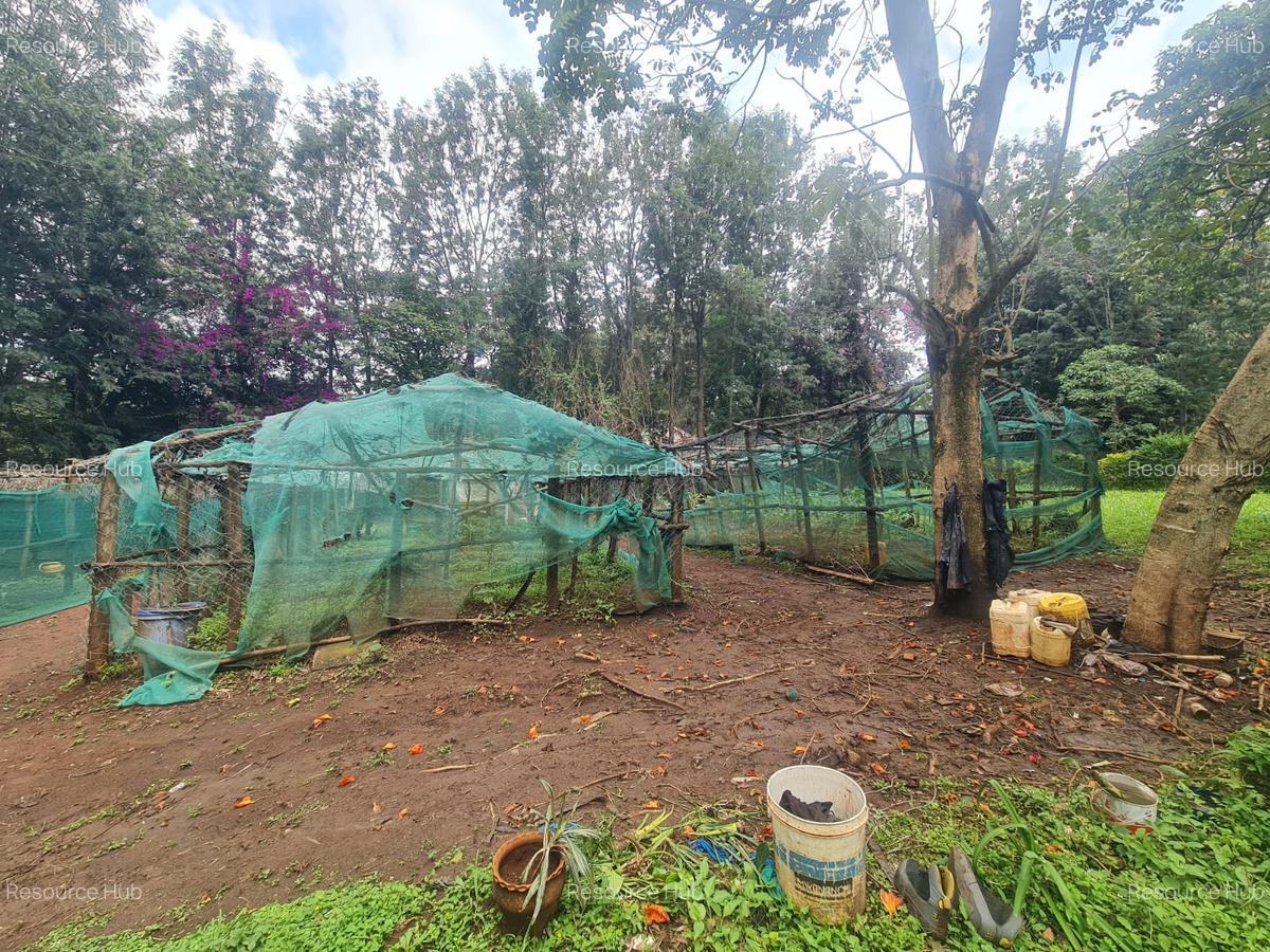 Commercial Property with Garden at Bomas - 4