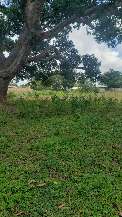 5 ac Land at Mavueni - 3