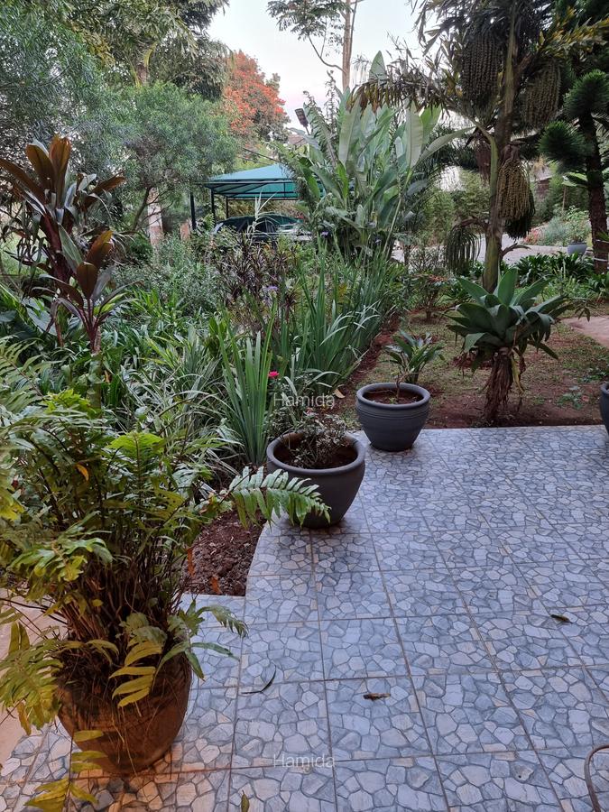 Furnished 1 Bed Apartment with En Suite at Peponi Way - Karima - 5