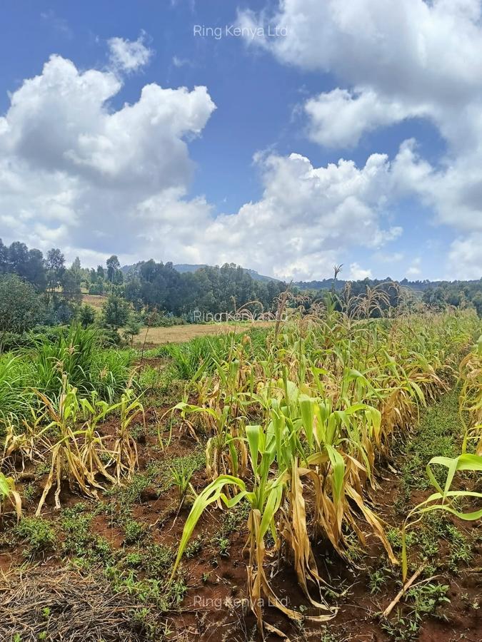 Land at Kibirichia - 13