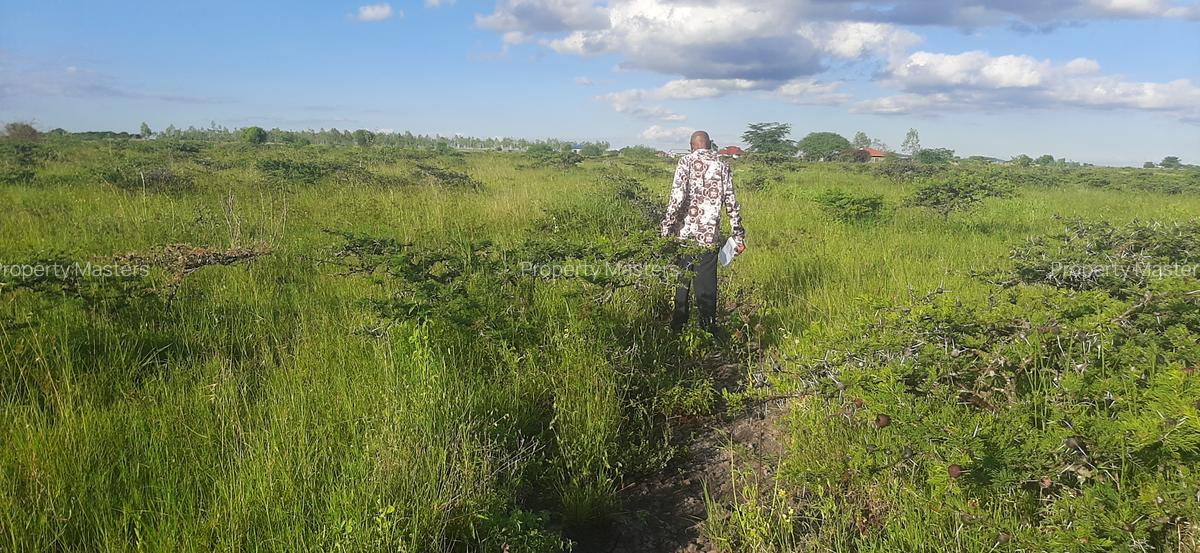 Residential Land at Leshaoo - 11