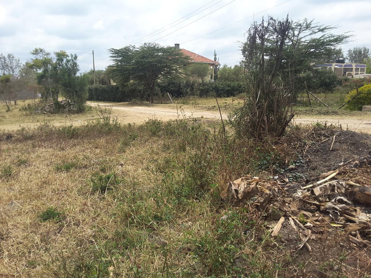 0.125 ac Residential Land in Ongata Rongai - 20