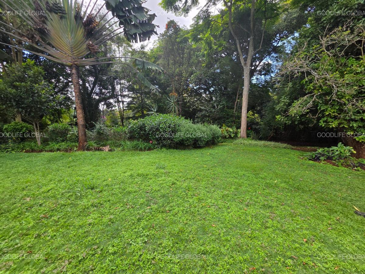 Furnished Commercial Property with Service Charge Included at Kyuna - 20