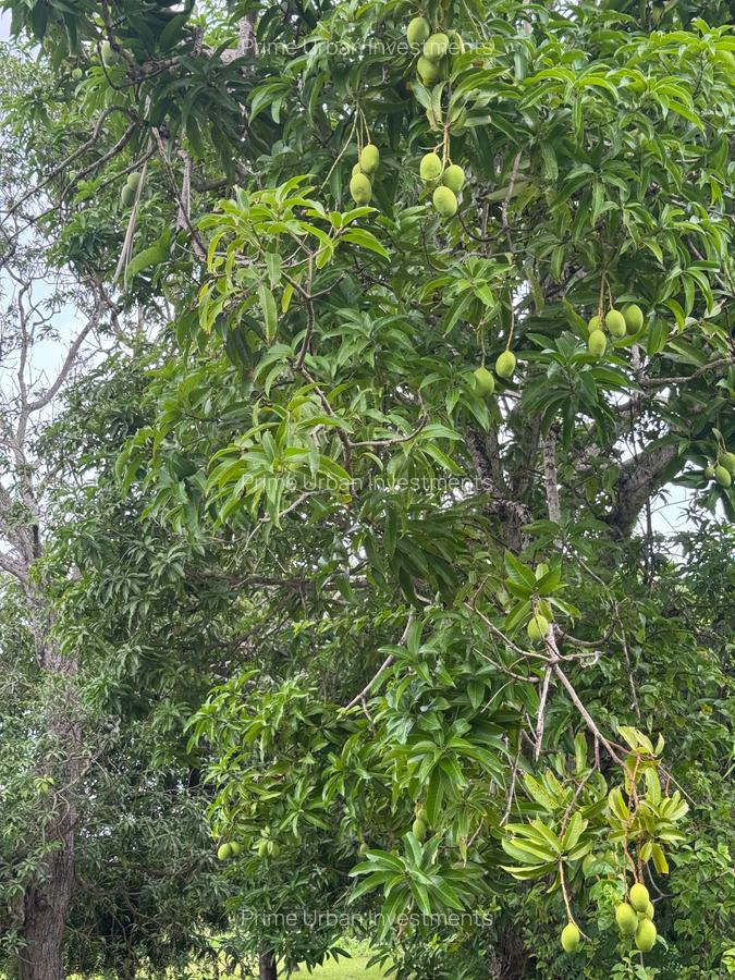 Residential Land in Kikambala - 4