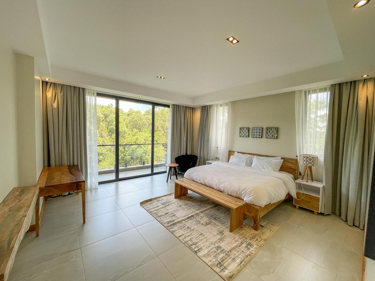 Furnished 4 Bed Apartment with En Suite in Spring Valley - 8