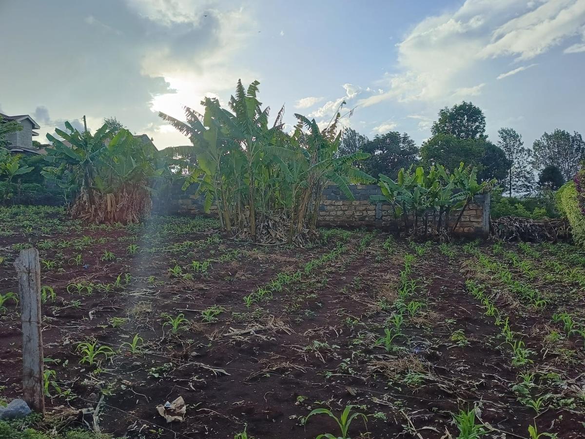 Residential Land at Ruaka - 5