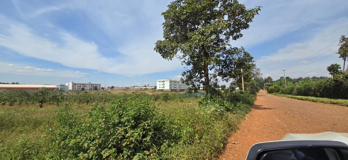 7 ac Land at Runda - 2