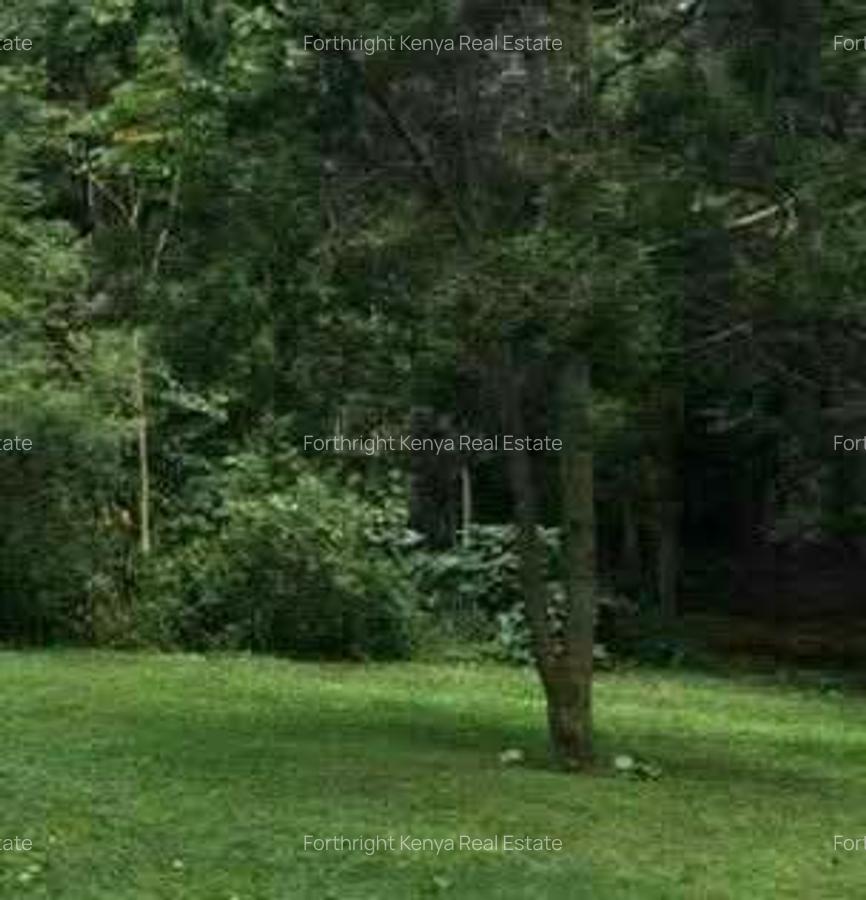 2.6 ac Land at Windy Ridge - 1