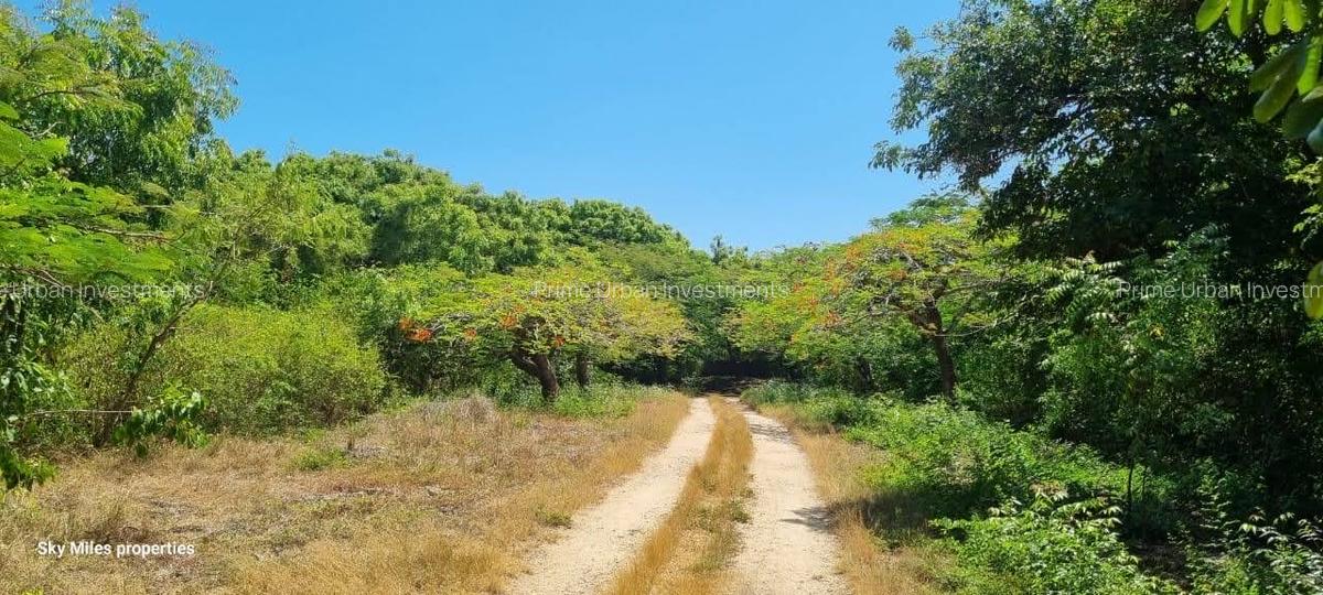 73.6 ac Land at Vipingo Kuruwitu Beach - 10