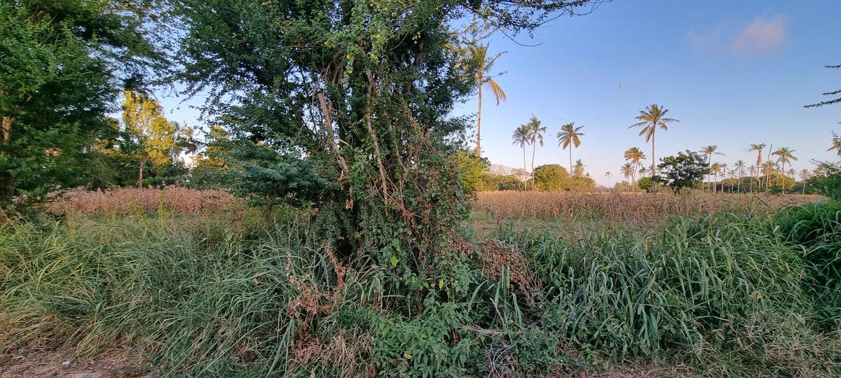 3 ac Land at Mtwapa - 1