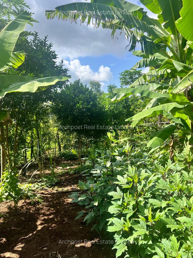 2 ac Land at Karingani - 1