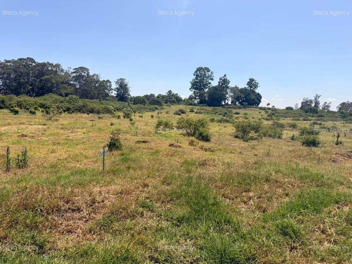 648 m² Residential Land at Ruiru-Githunguri Road - 9