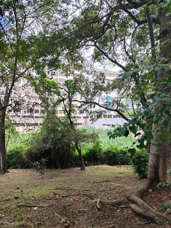 2 ac Land at Lantana Road - 5