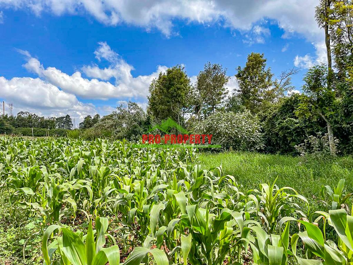 7.5 ac Land in Kikuyu Town - 3